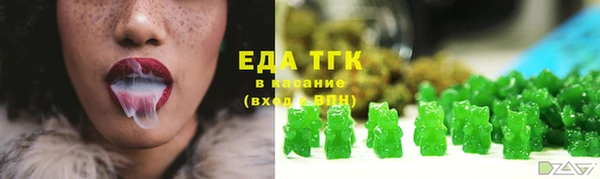 мдпв Новозыбков