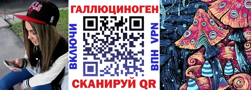МЕГА зеркало  Чкаловск  Псилоцибиновые грибы прущие грибы  где купить наркотик 