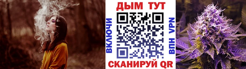 Каннабис план  наркота  Чкаловск 